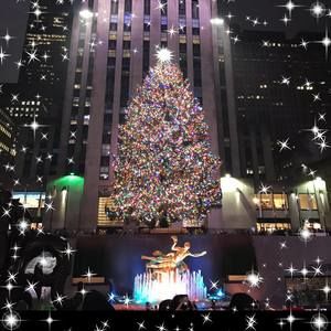 Meet your Posher, Christi